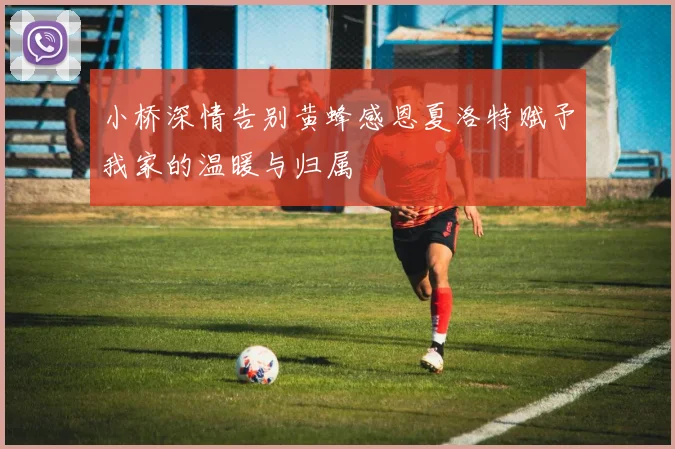 小桥深情告别黄蜂感恩夏洛特赋予我家的温暖与归属