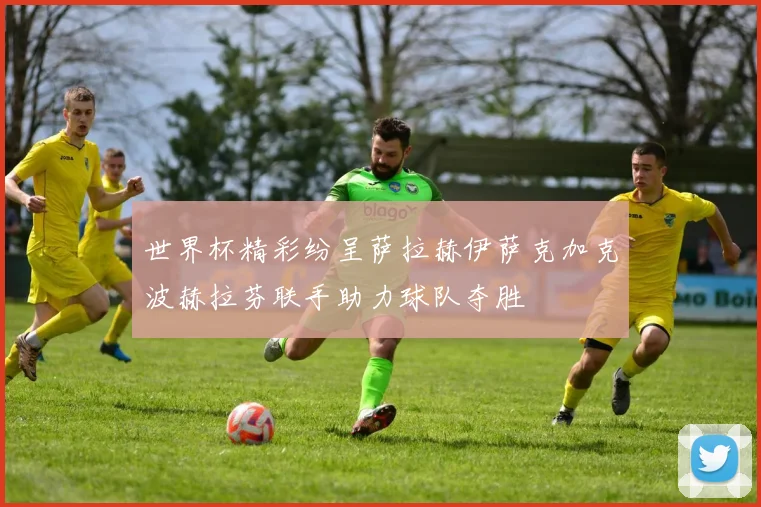 世界杯精彩纷呈萨拉赫伊萨克加克波赫拉芬联手助力球队夺胜