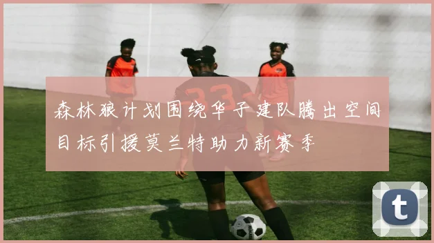 森林狼计划围绕华子建队腾出空间目标引援莫兰特助力新赛季