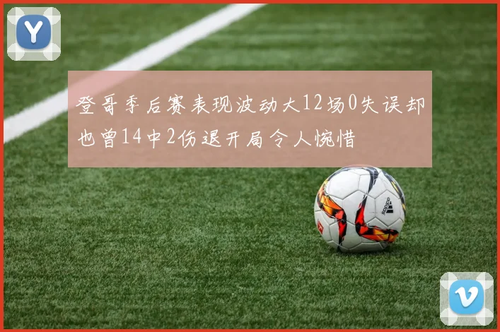 登哥季后赛表现波动大12场0失误却也曾14中2伤退开局令人惋惜